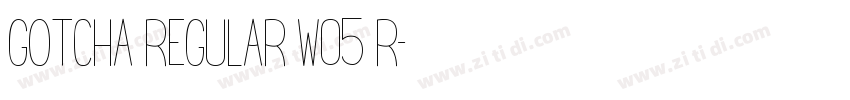 Gotcha Regular W05 R字体转换